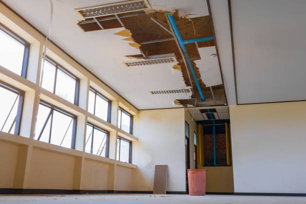 Best Sewage cleanup and water damage restoration  in Oxford, MI