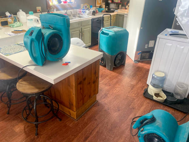 Best Basement water damage restoration  in Oxford, MI