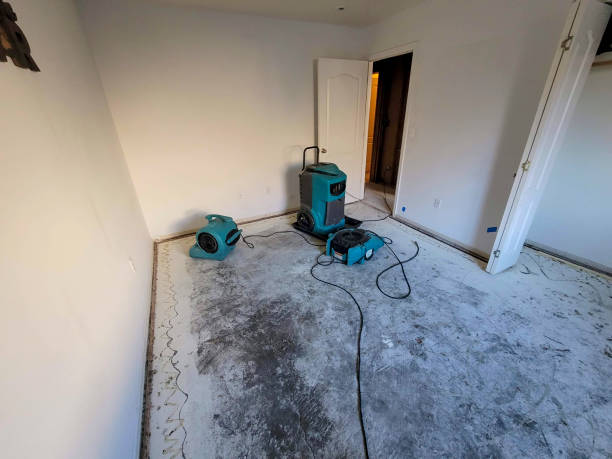 Reliable Oxford, MI Water damage restoration Solutions