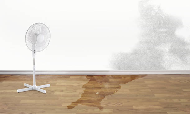 Best Flood damage cleanup  in Oxford, MI