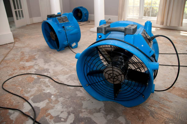 Best Flooded house restoration  in Oxford, MI